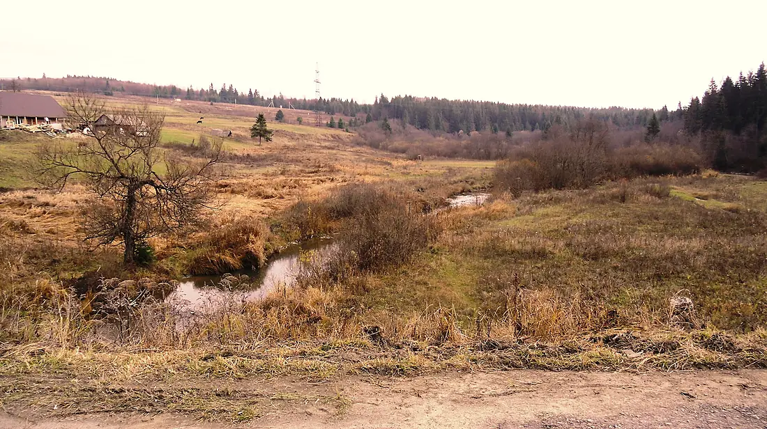 Stryj River near the village of Klymets. Skole district