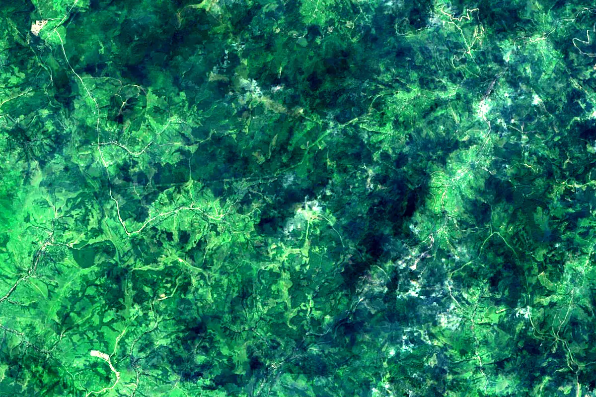 Stryi River: satellite view of the source