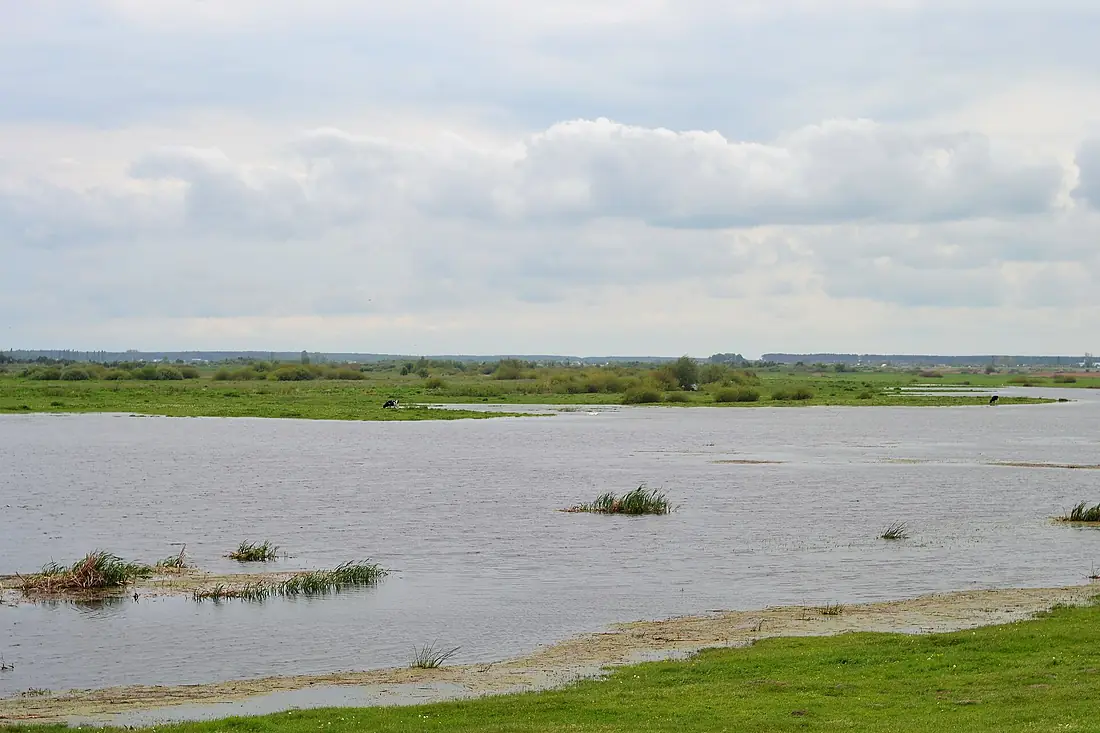 Kryzhivka Rozhyshchenskyi Volynska-Nadstyrskyi nature reserve-north view-3