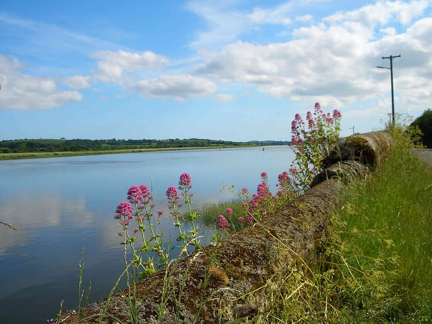 Waterford 02