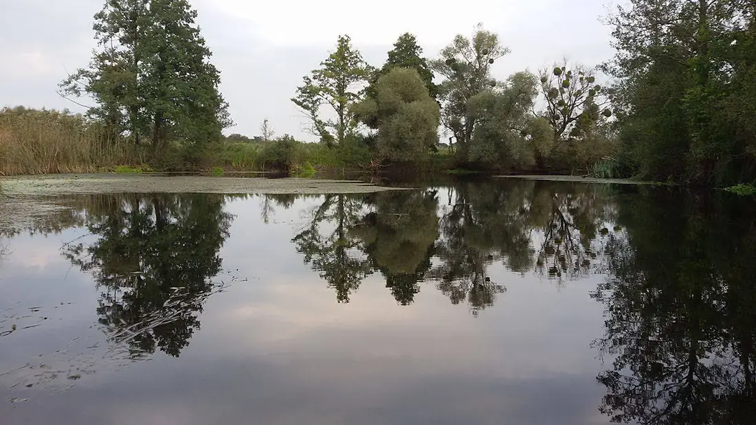 Sula River near Khtuli village 1