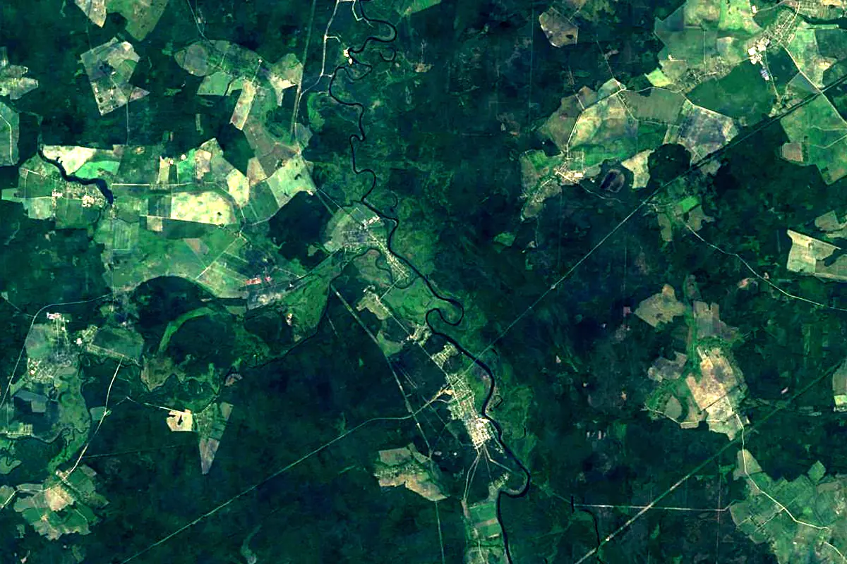 Svislach River: satellite view of the mouth