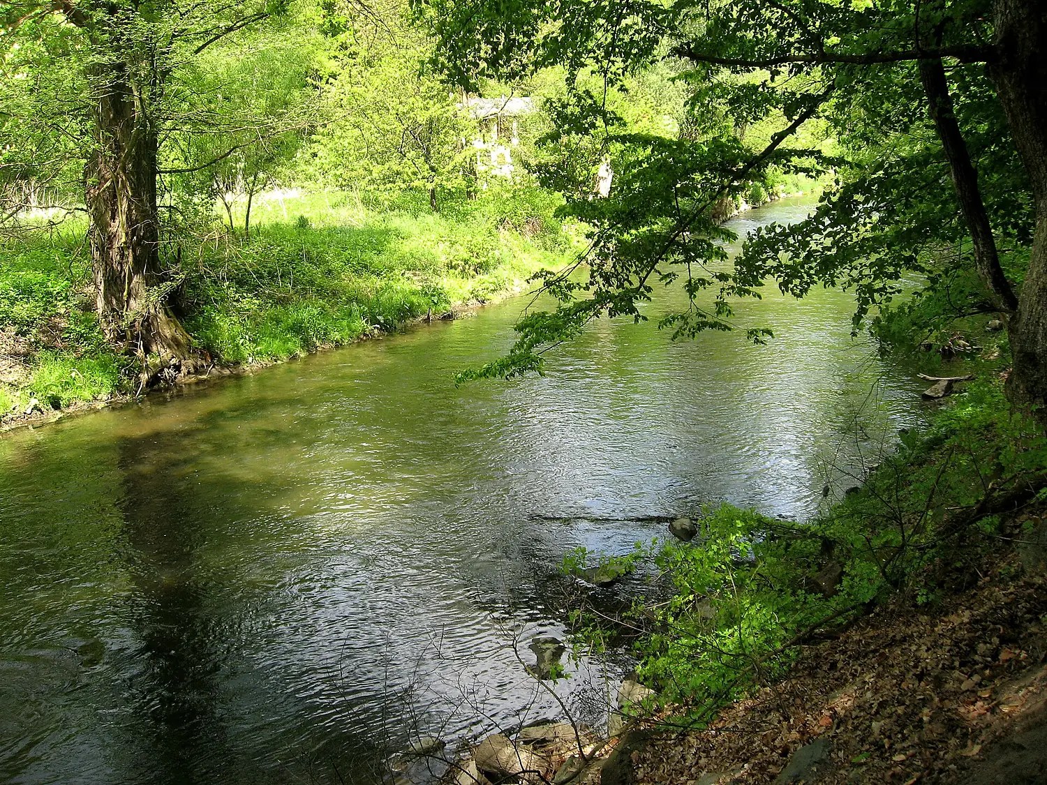 Svitava mezi Bílovicemi a Brnem
