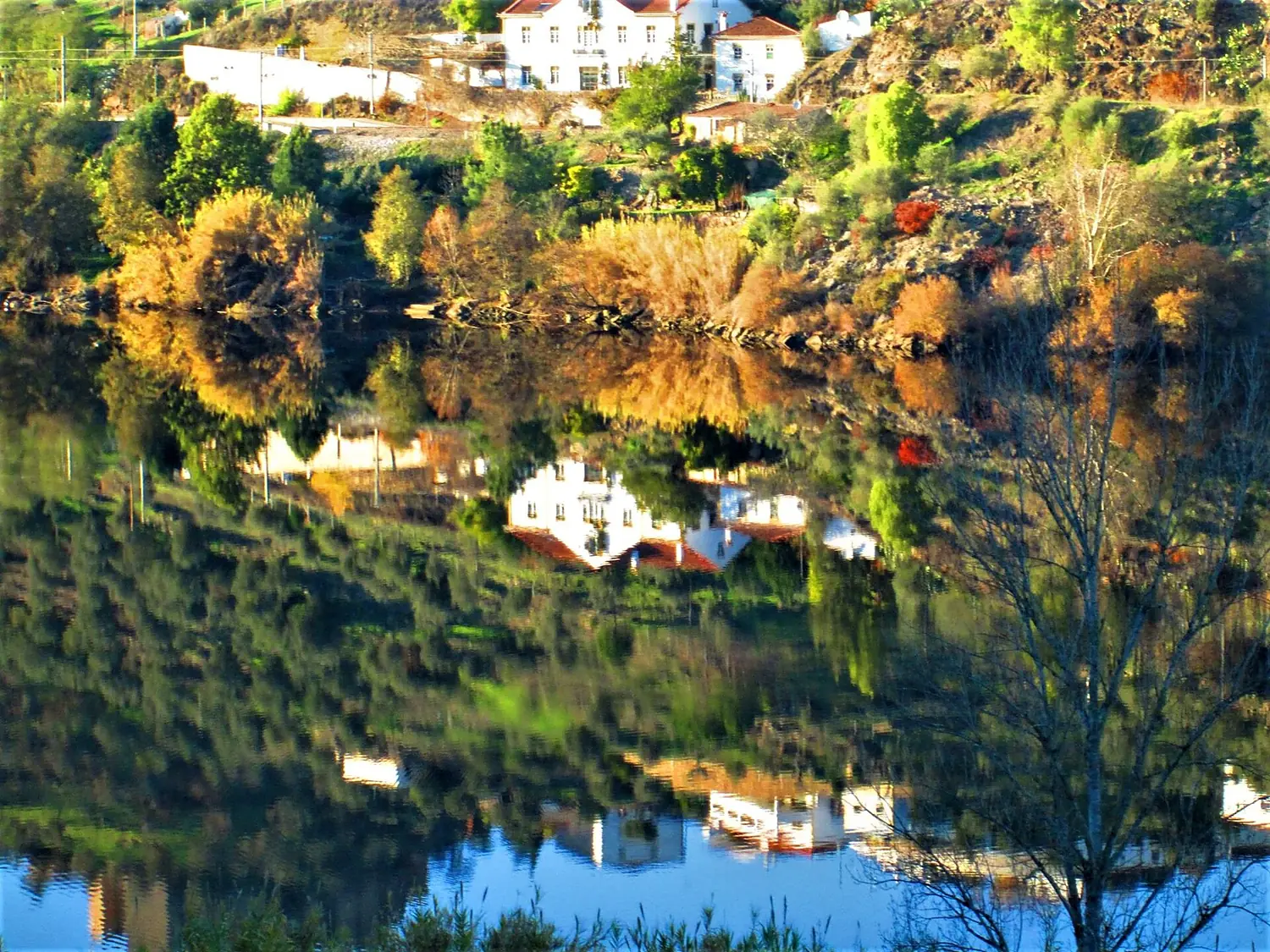 ALONG THE TAGUS RIVER-PORTUGAL..... (49887562386)