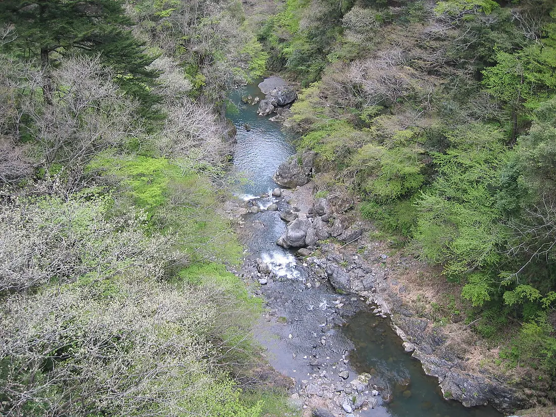 Tamagawa-sakaihasi