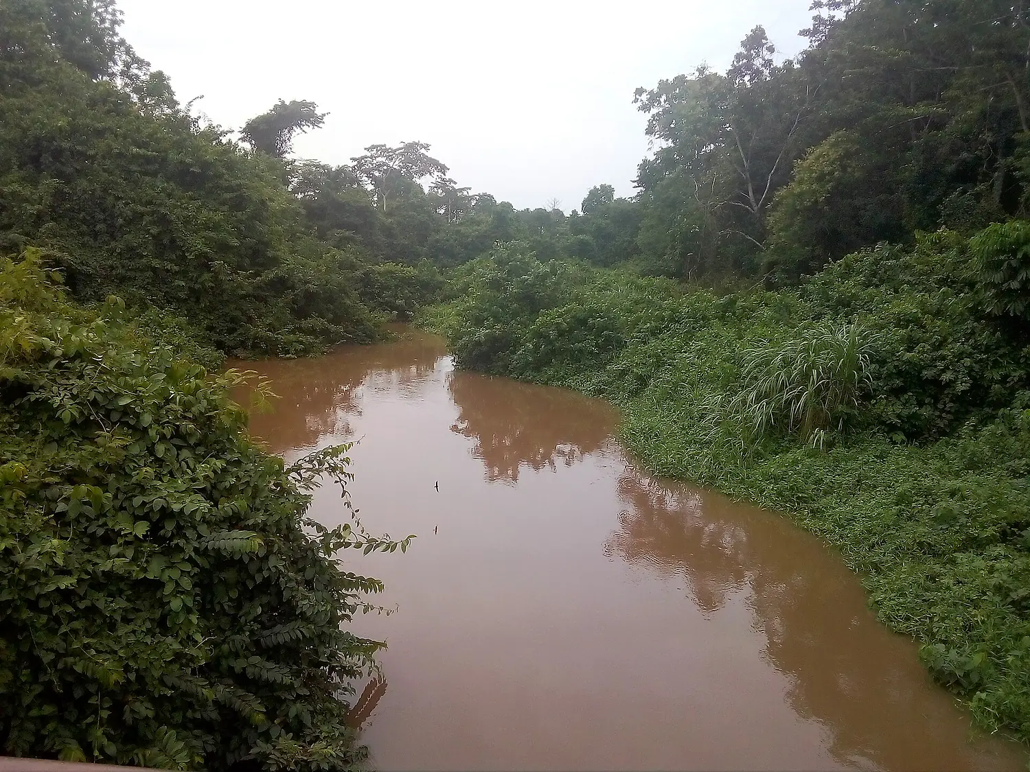 The Tano River