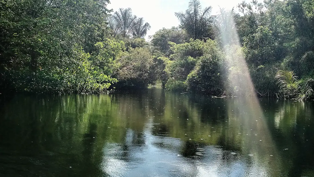 Floresta Nacional do Rio Tapajós