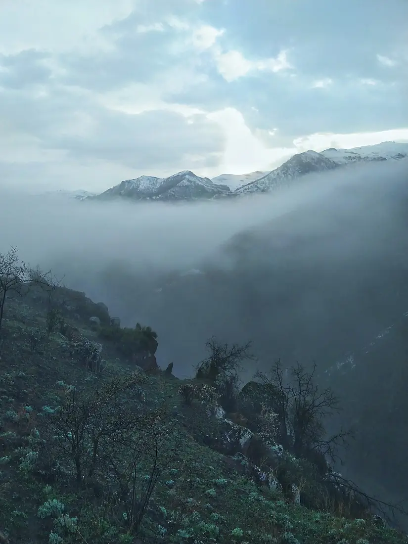 Fog over the gorge of Tartar river