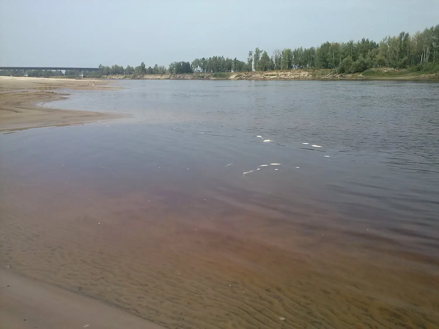 Р. Тавда, мост, с. Нижняя Тавда - panoramio
