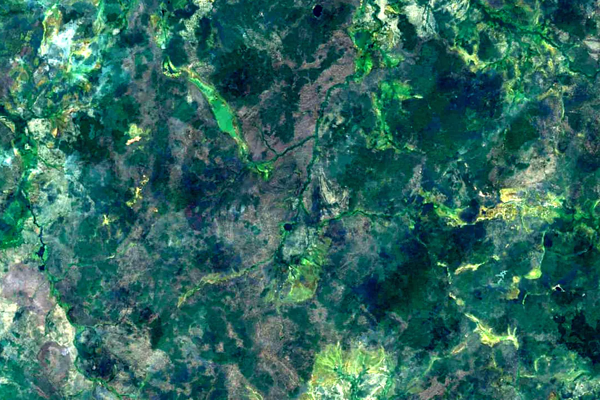 Taz: satellite view of the source