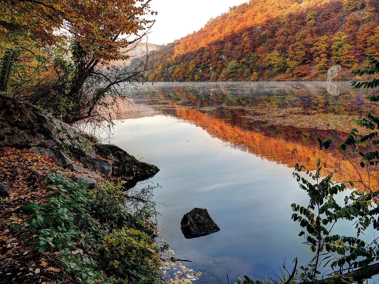 Národní park Podyjí Dyje Nationalpark Thayatal 2013 10 a