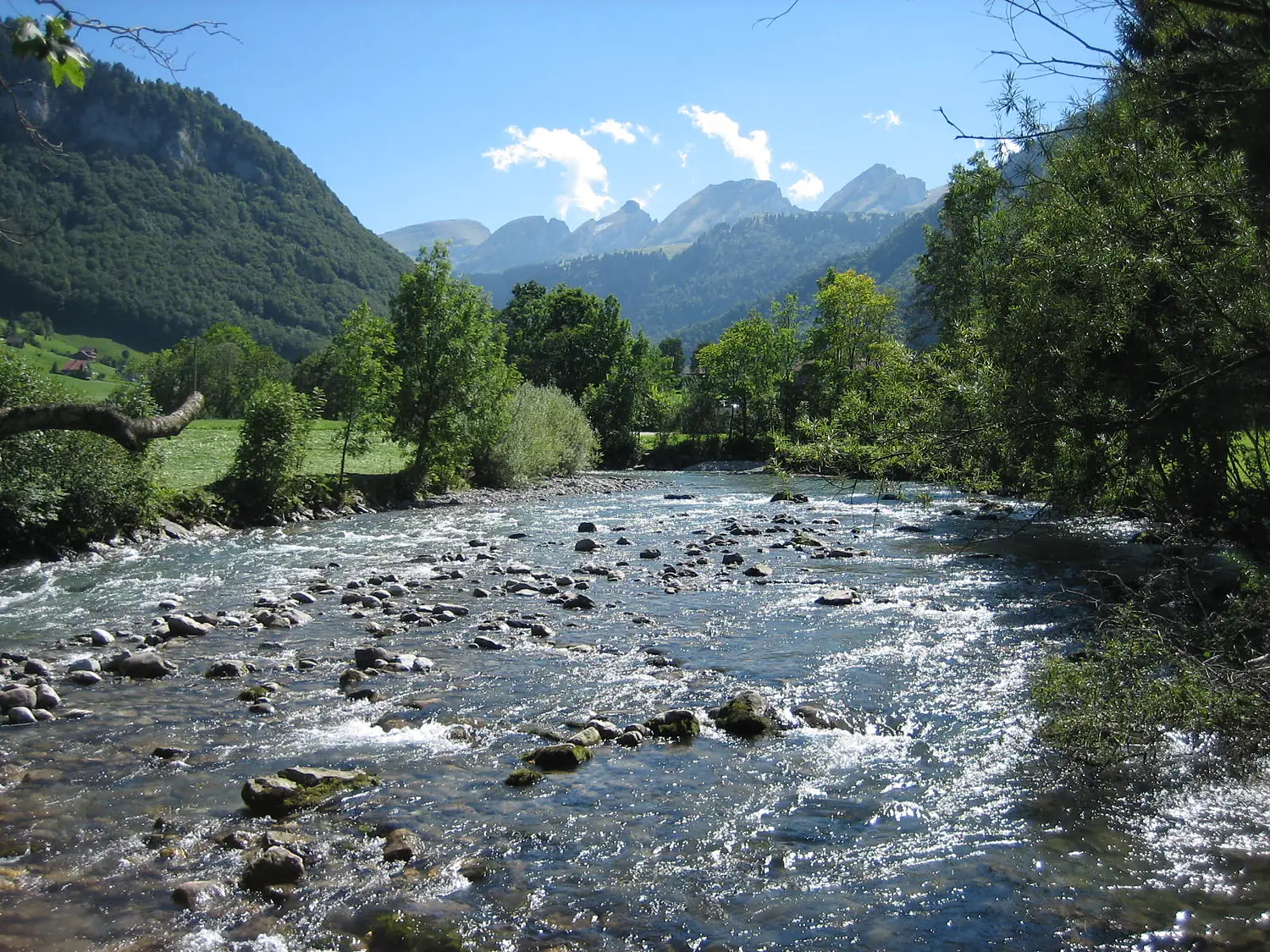 Thur im Toggenburg