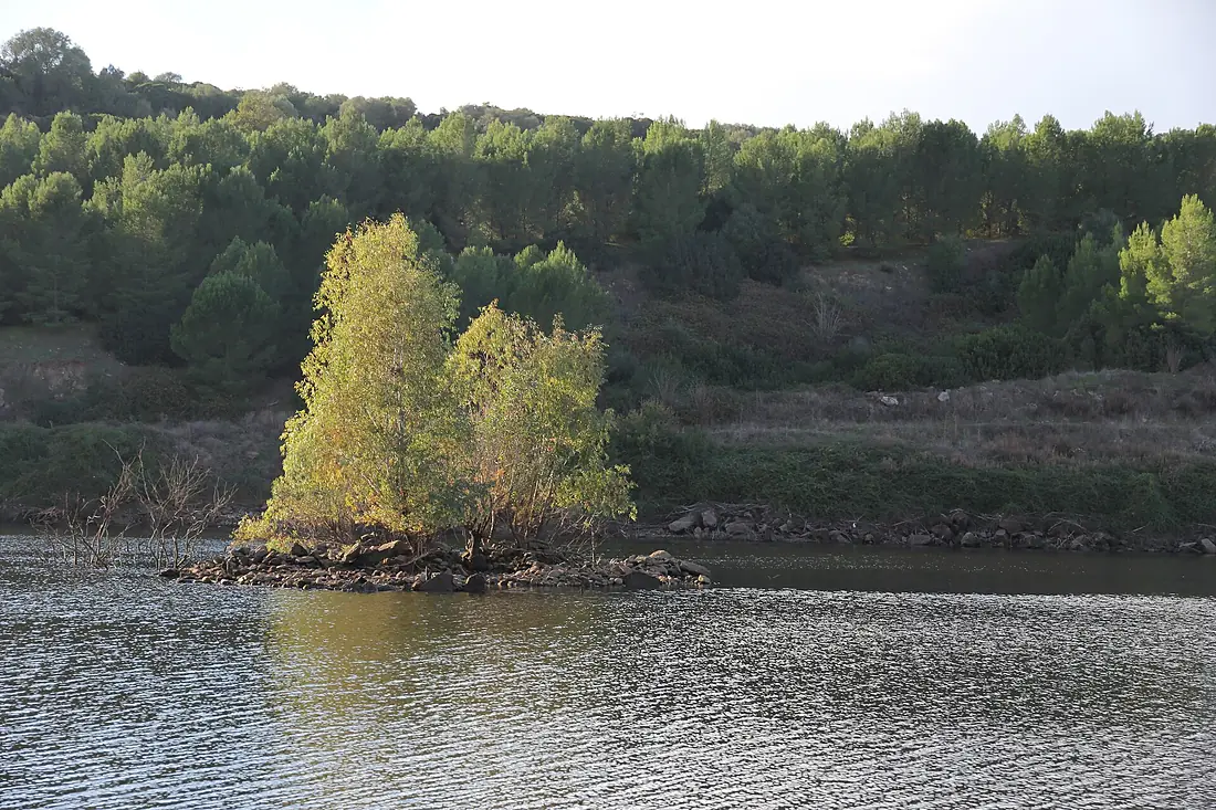 Busachi, fiume Tirso (01)