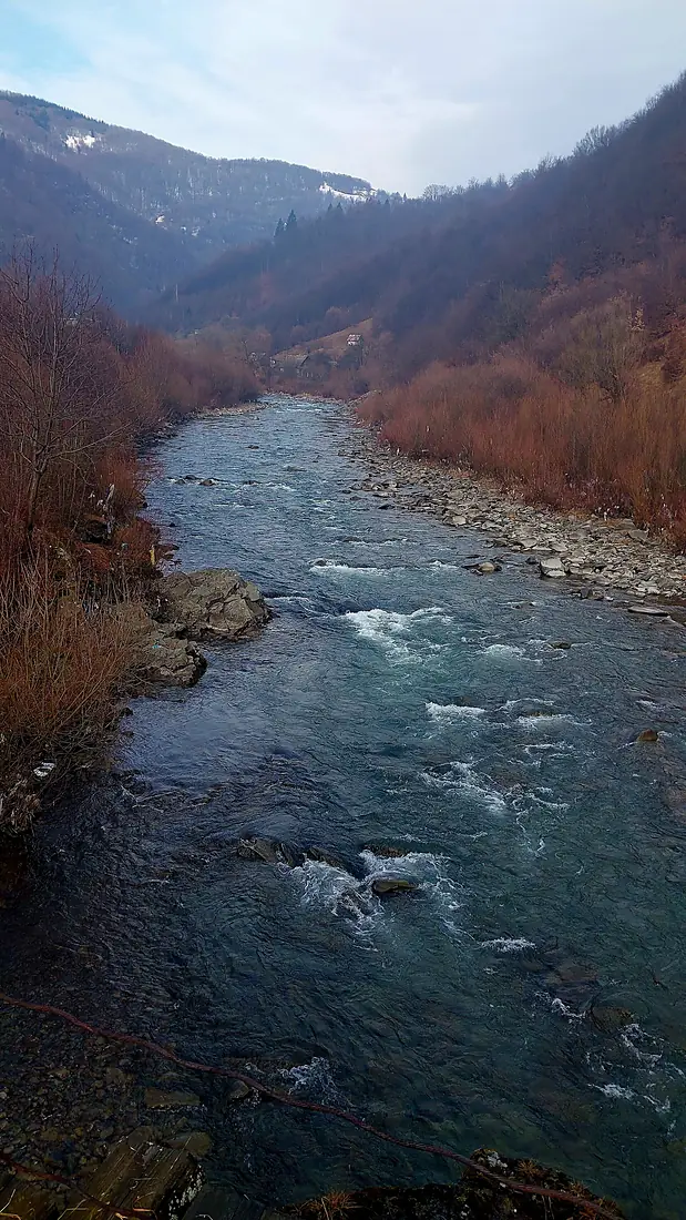 Tisza River in Zakarpatiia Oblast, Ukraine (photo 1)