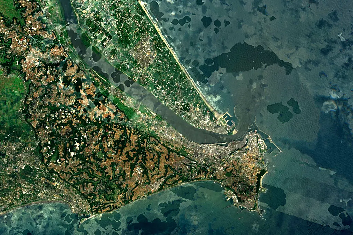 Tone River: satellite view of the mouth