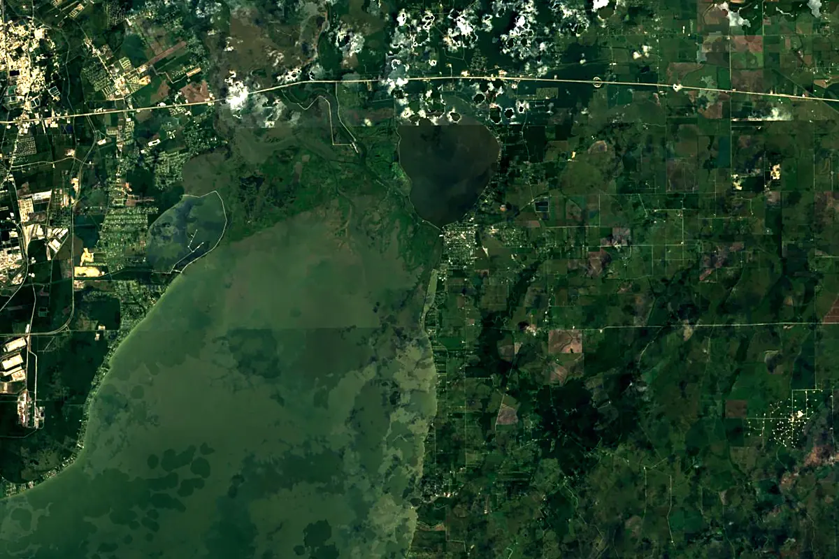 Trinity River: satellite view of the mouth