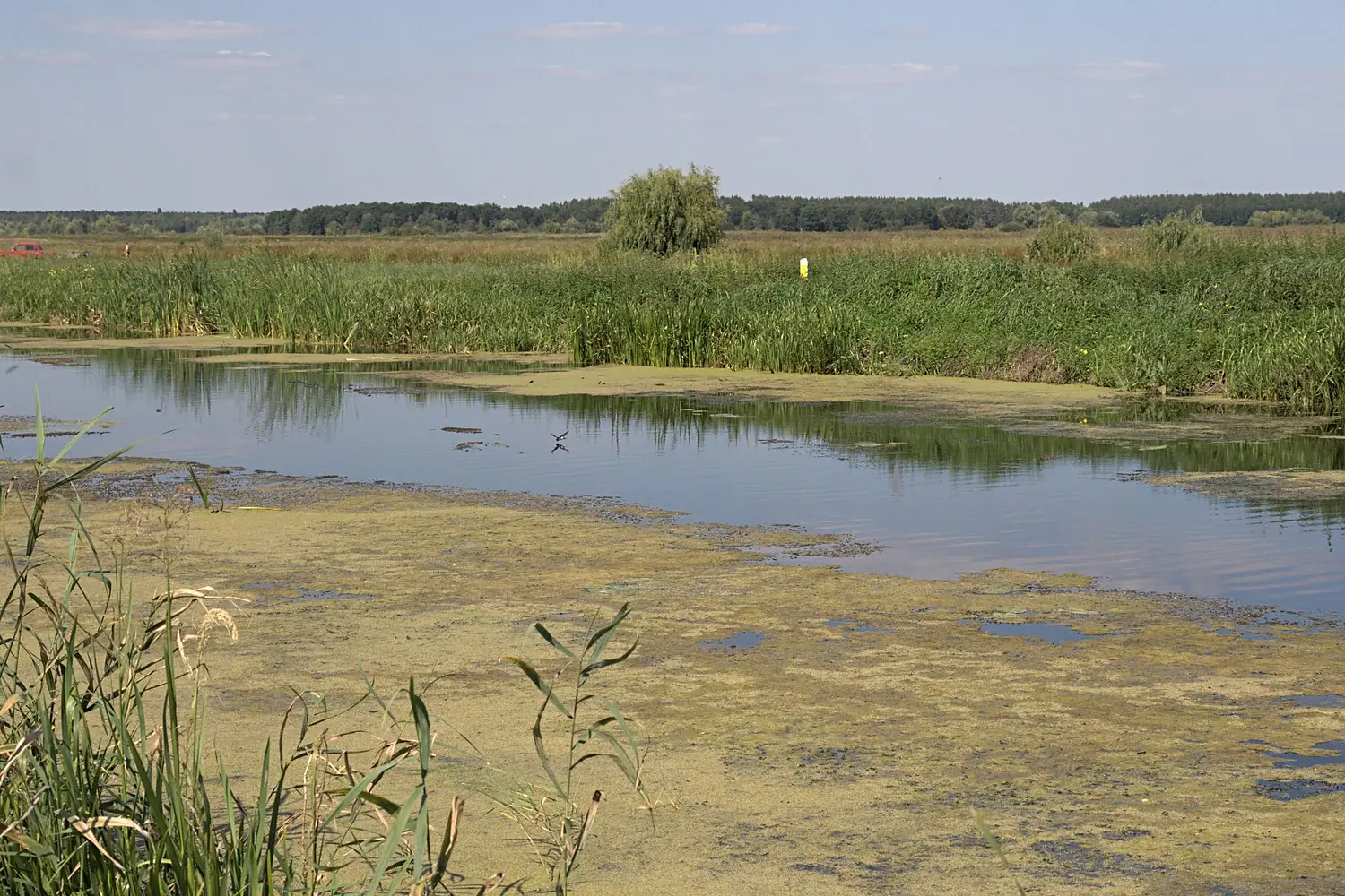 Trubizh-Borschiv-streambed-03
