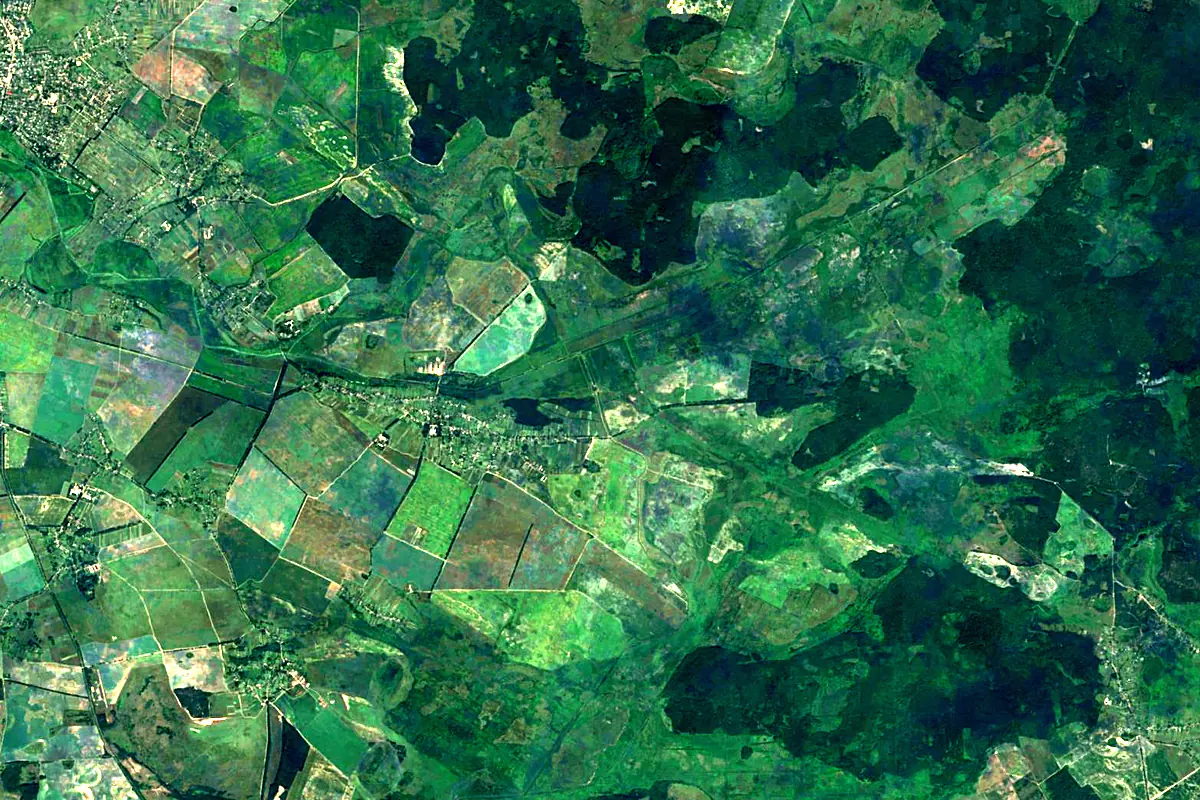 Trubizh River: satellite view of the source
