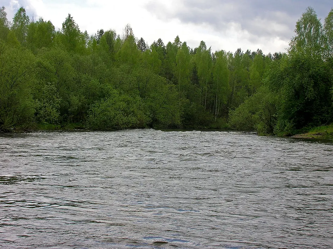 G. Nizhnyaya Tura, Sverdlovskaya oblast' Russia - panoramio - Oleg Seliverstov (6)