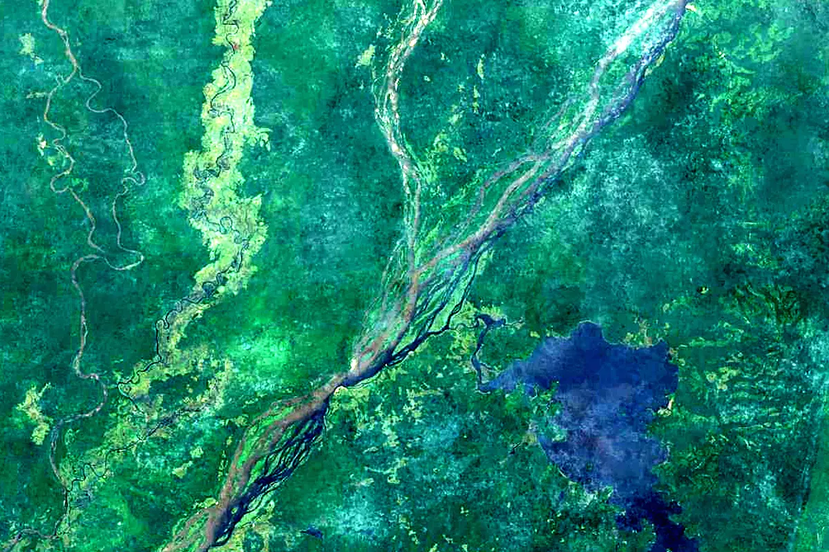 Ubangi River: satellite view of the mouth