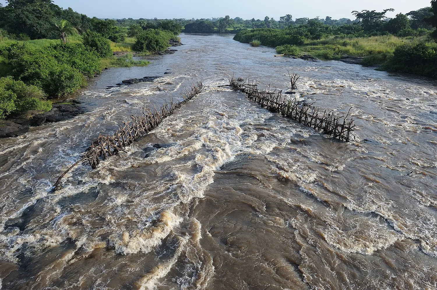 Uele river