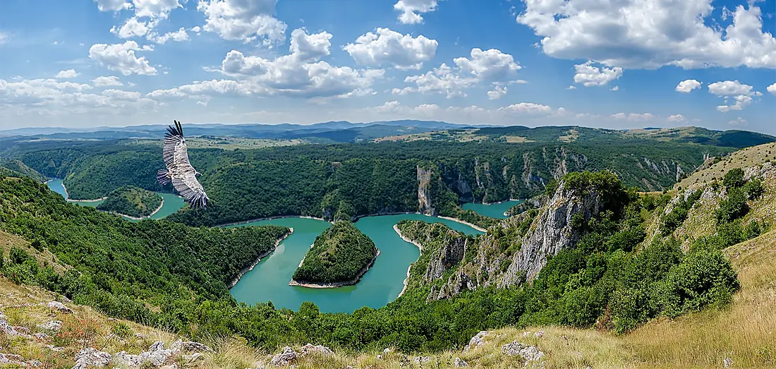 Uvac River and Eagle