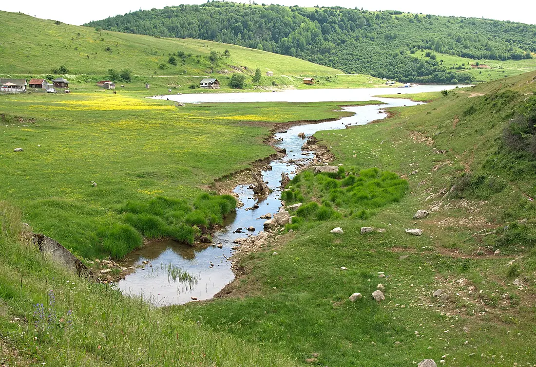 Meadows and grass by the River of Uvac