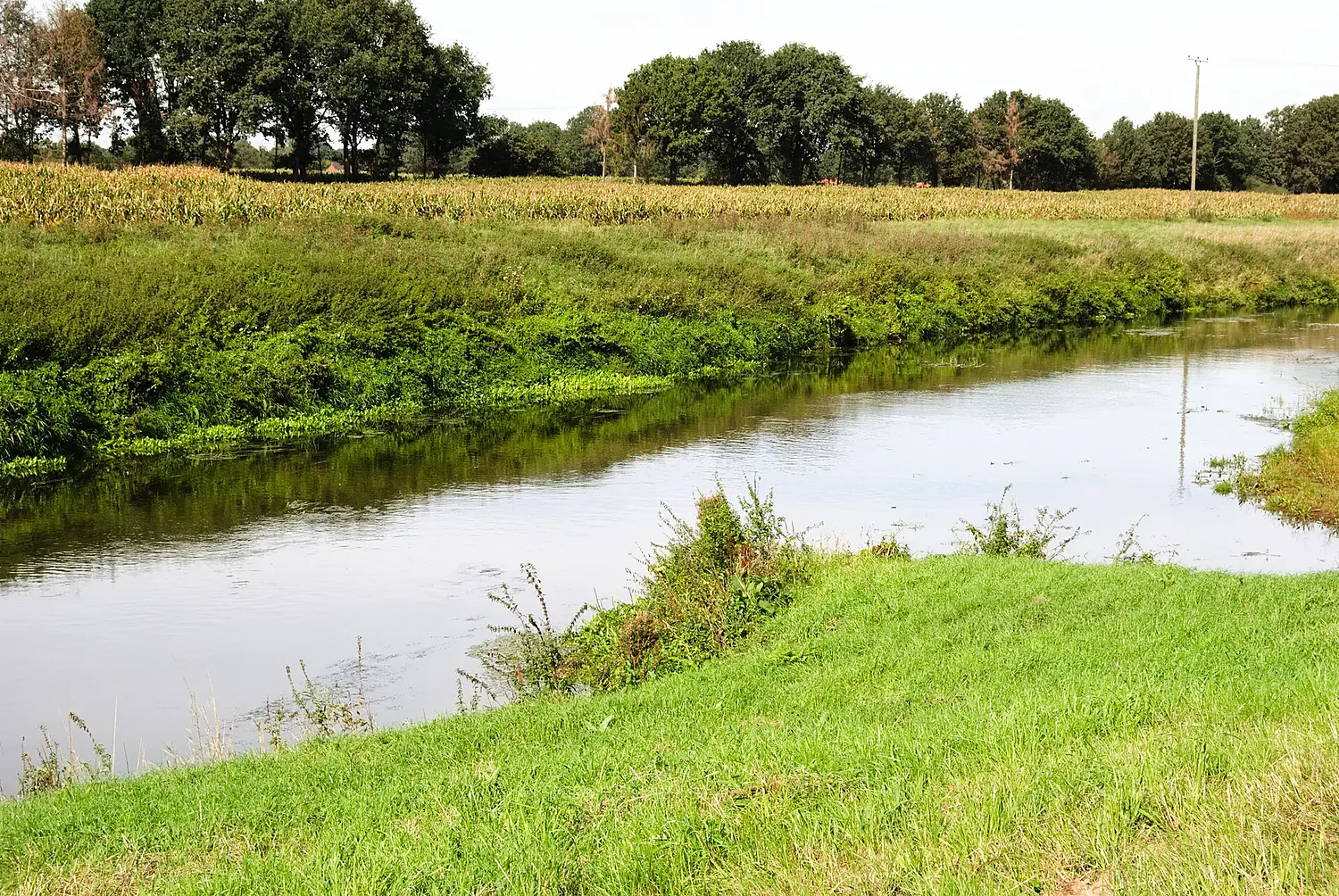 Mündung der Lee in die Vechte bei Berge Hoogstede 01
