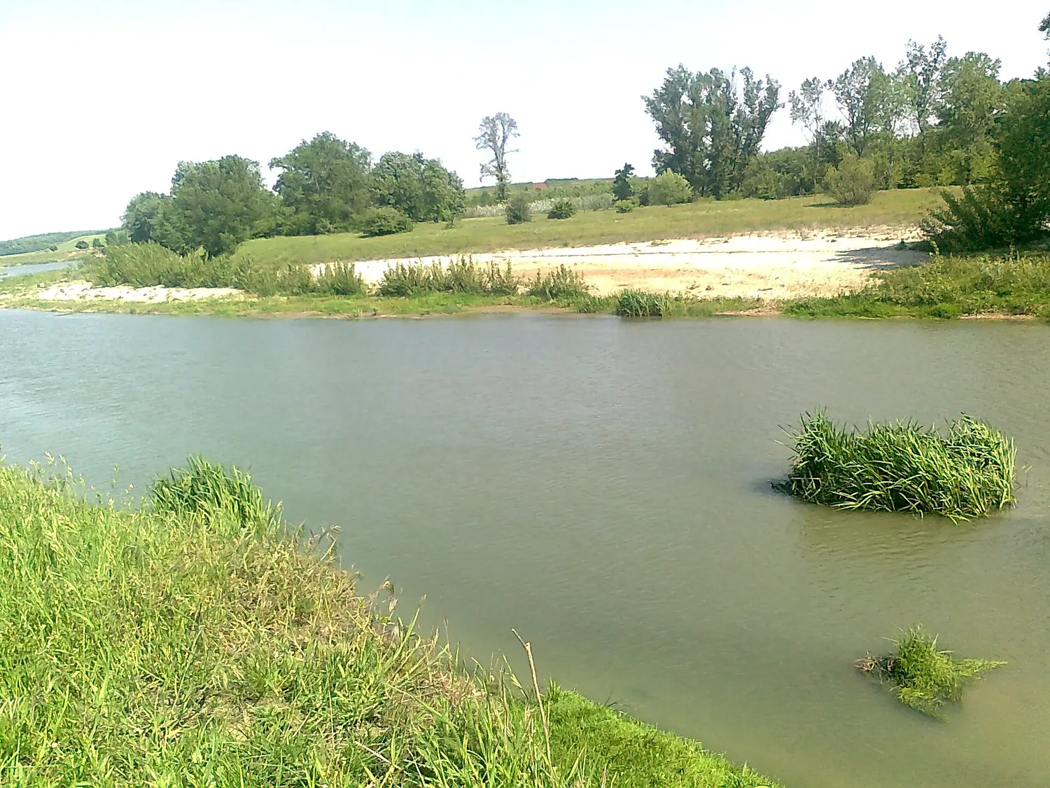 Vedea.River.1