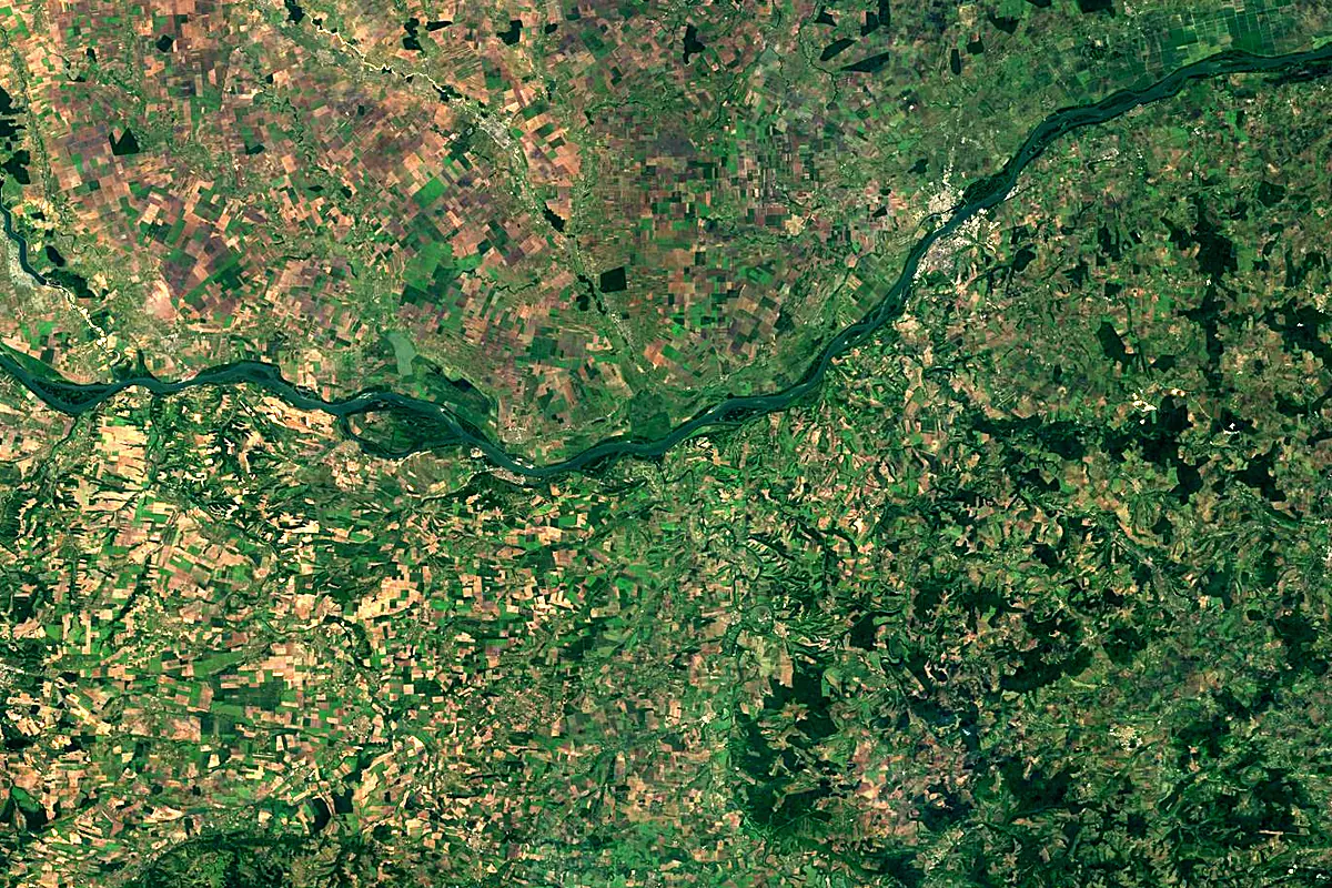 Vedea River: satellite view of the mouth