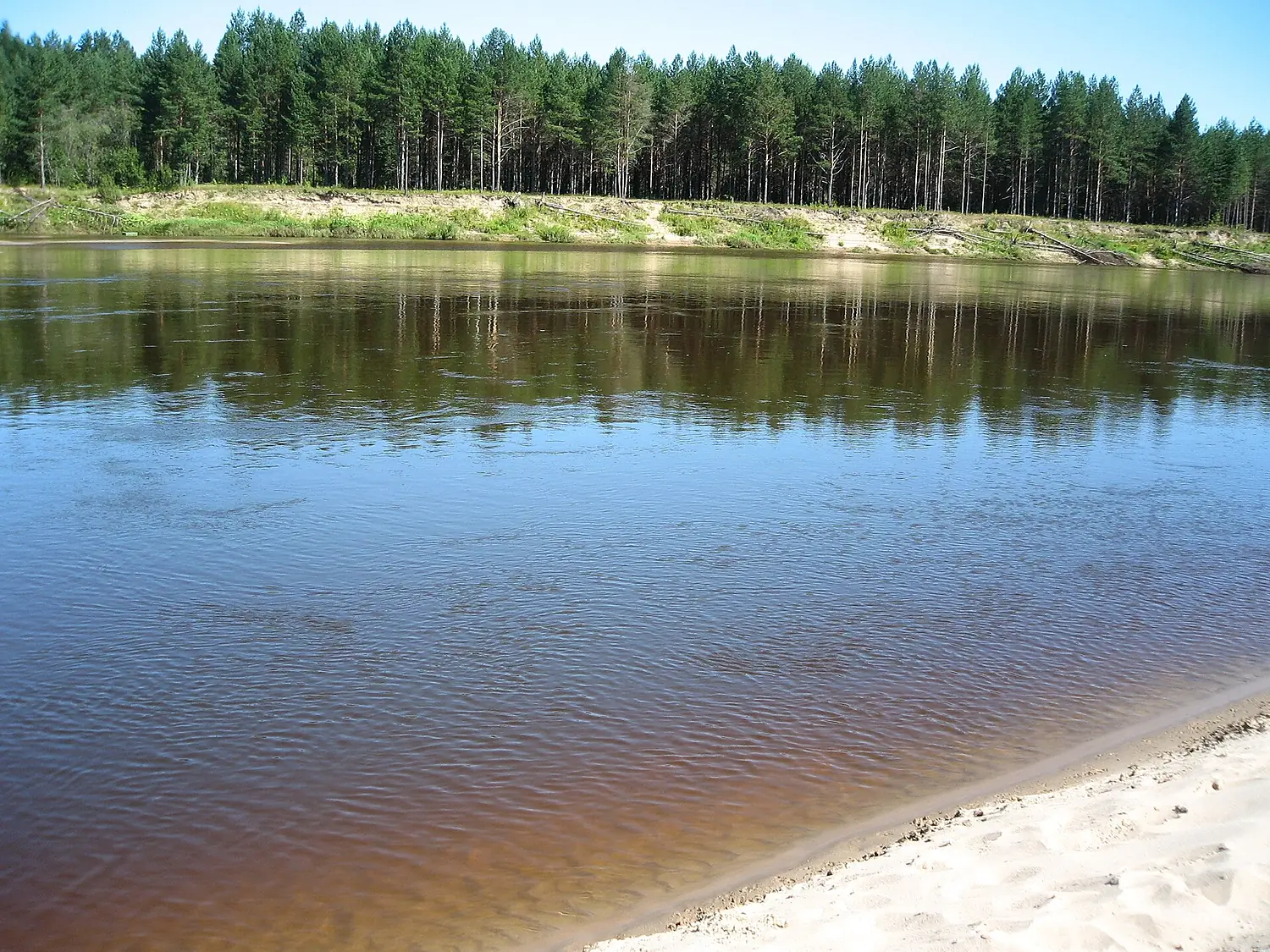 Vetluga river (photo by Larisa Mersieva) - panoramio