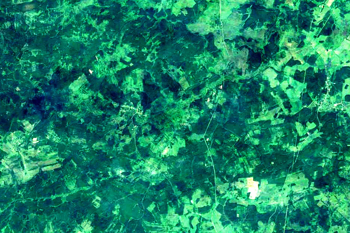 Vetluga: satellite view of the source