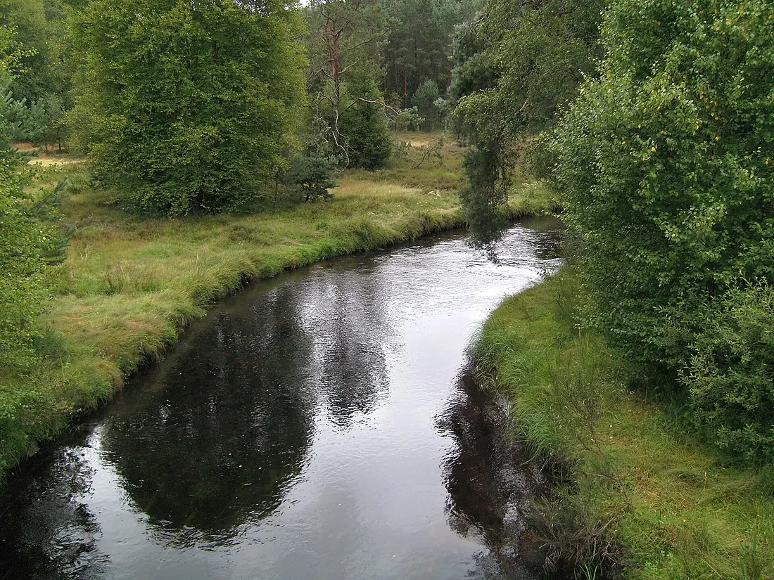 Vienne near Peyrelevade 02