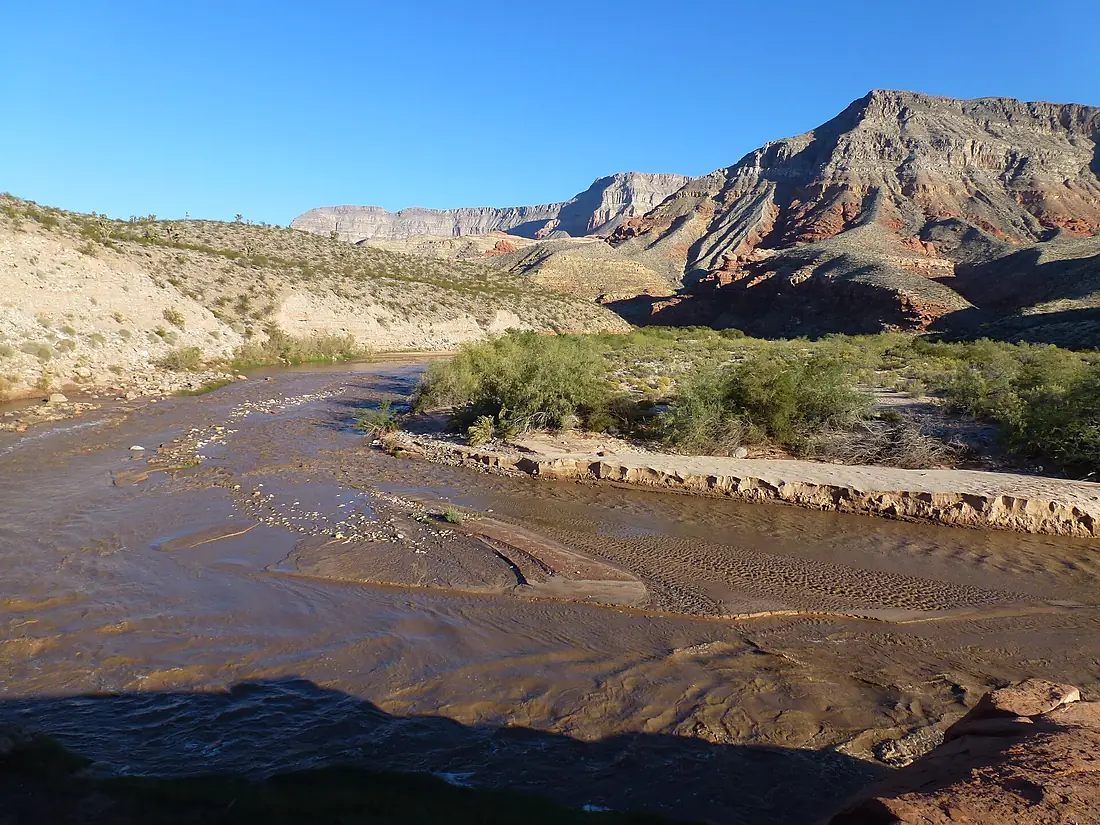 Along the Virgin River, 2012 - panoramio (1)