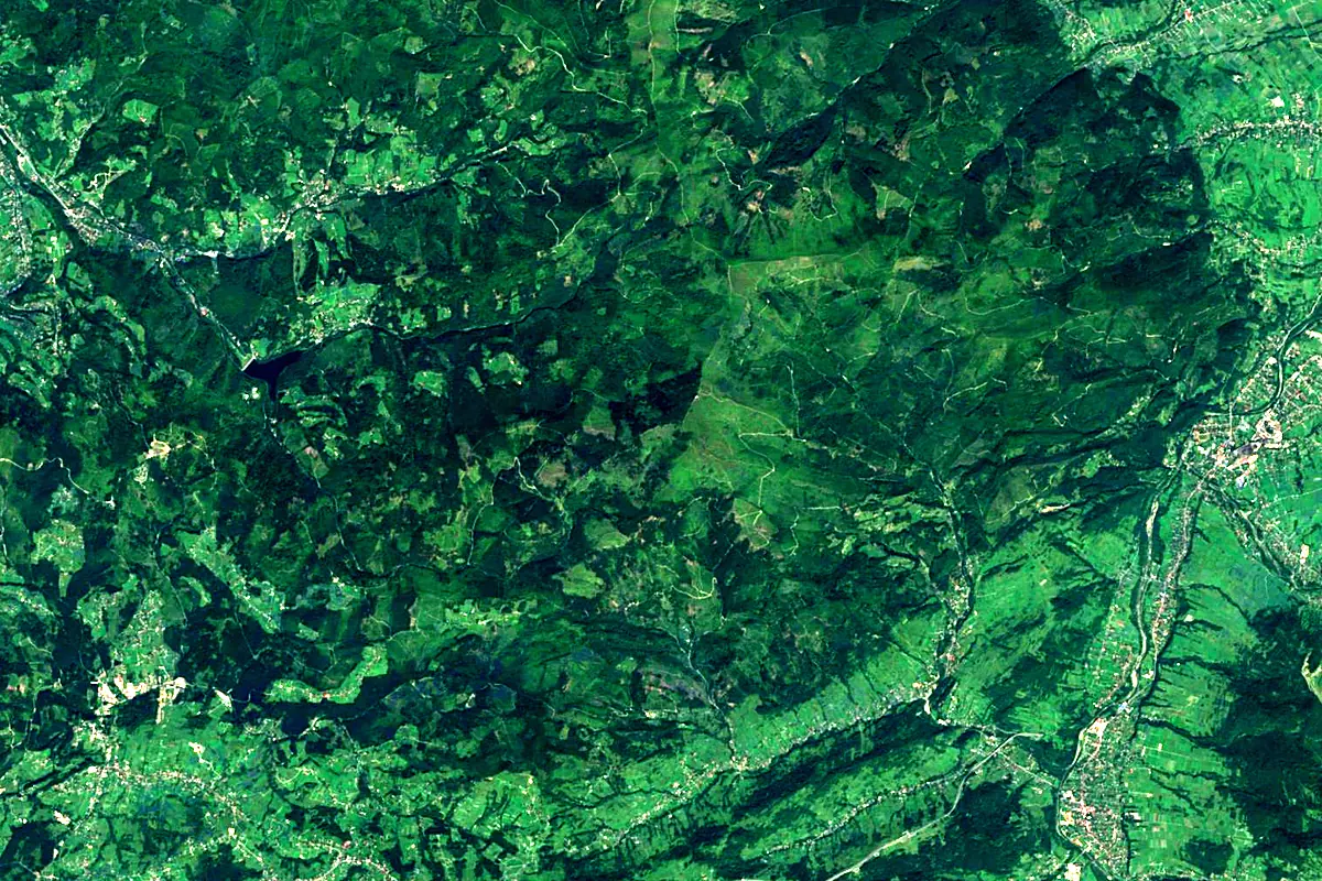 Vistula: satellite view of the source