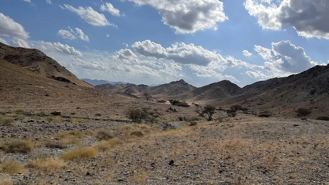 Middle Wadi Al Qawr