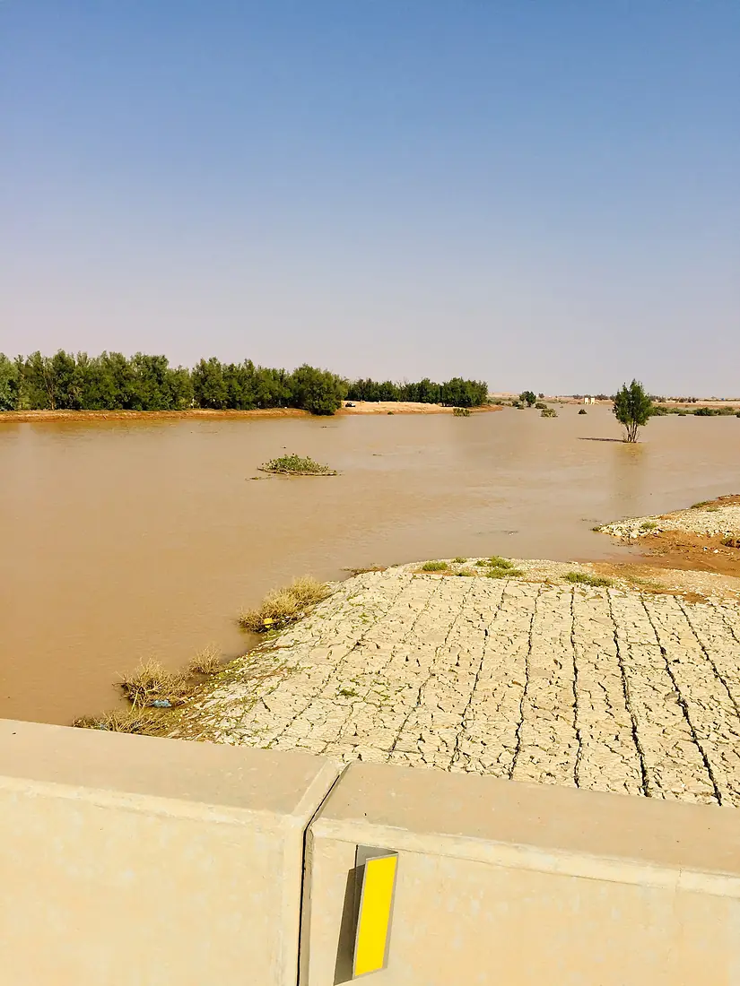 Wadi al-Rummah Al Badayea Nov 2018 -4