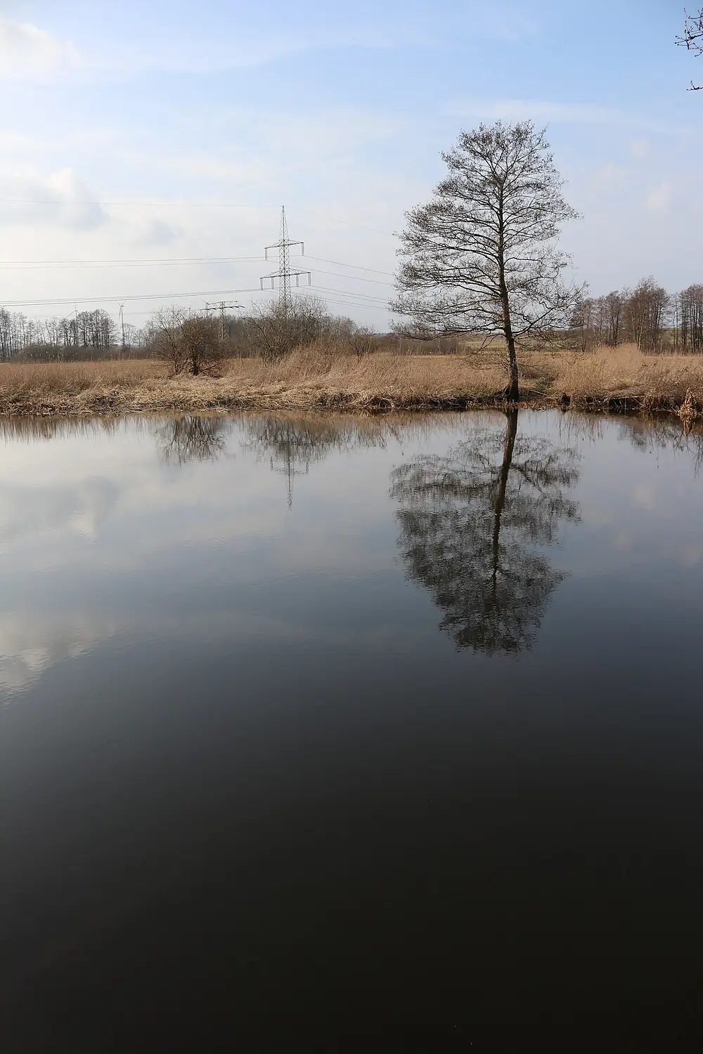 River Warnow near Werle in MV-II