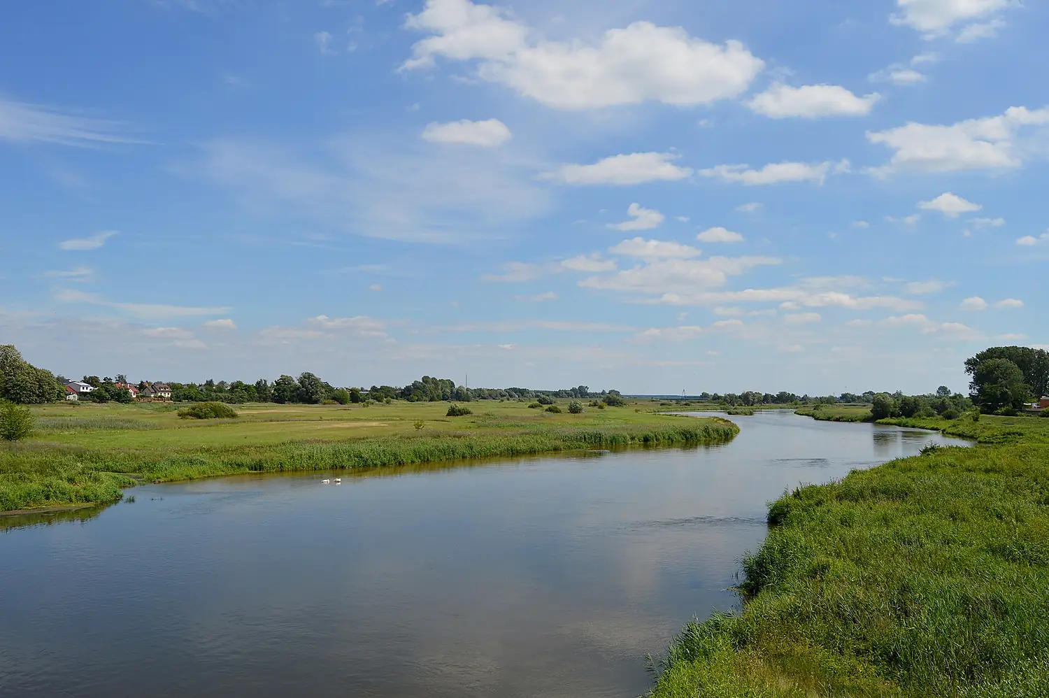 Koło - dolina Warty