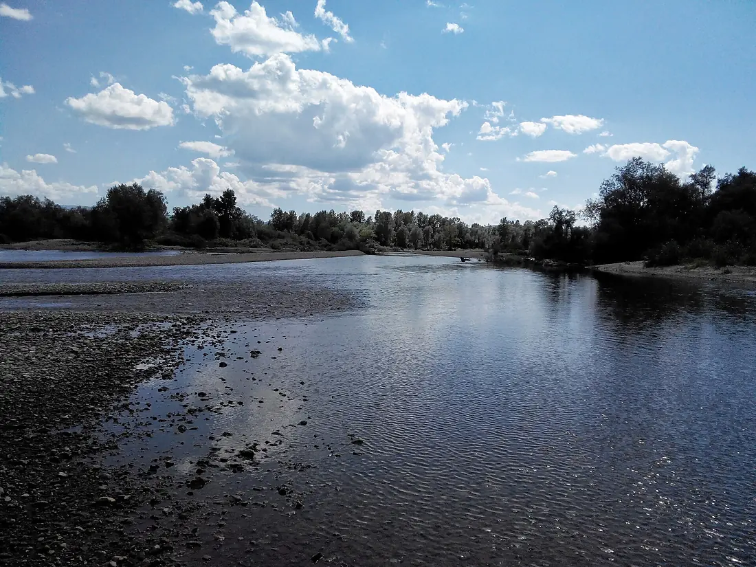 West Morava River, Katrga, July 2014. - panoramio (2)