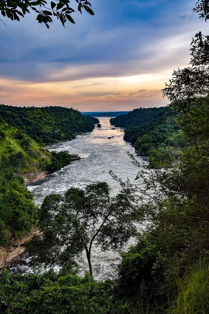 White Nile River (30741802592)