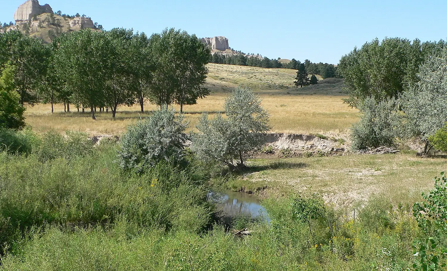 White River at US20 DS