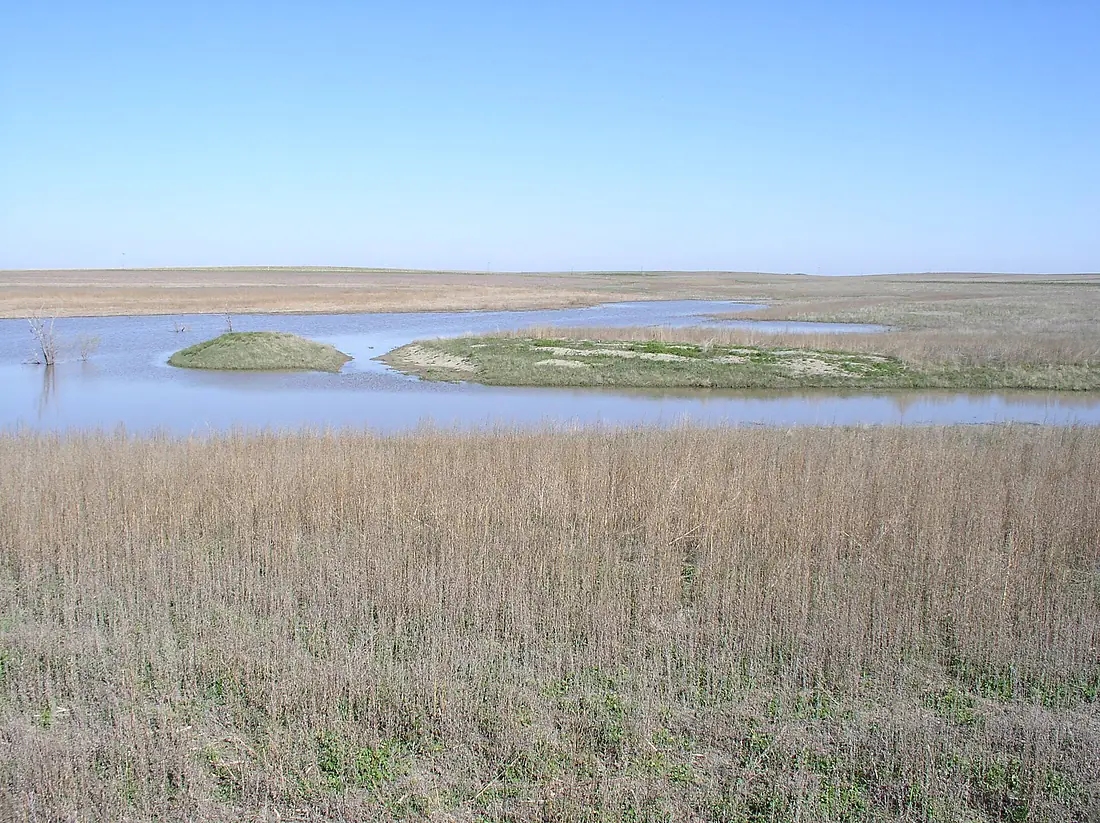 White River bottom Lyman County South Dakota