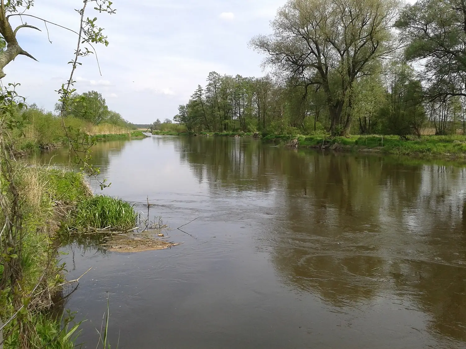 Wieprz widok na rzekę