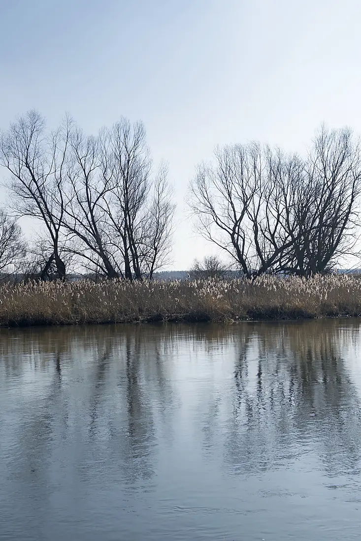 River Wieprz, Lublin Voivodeship, Poland - 2026 10