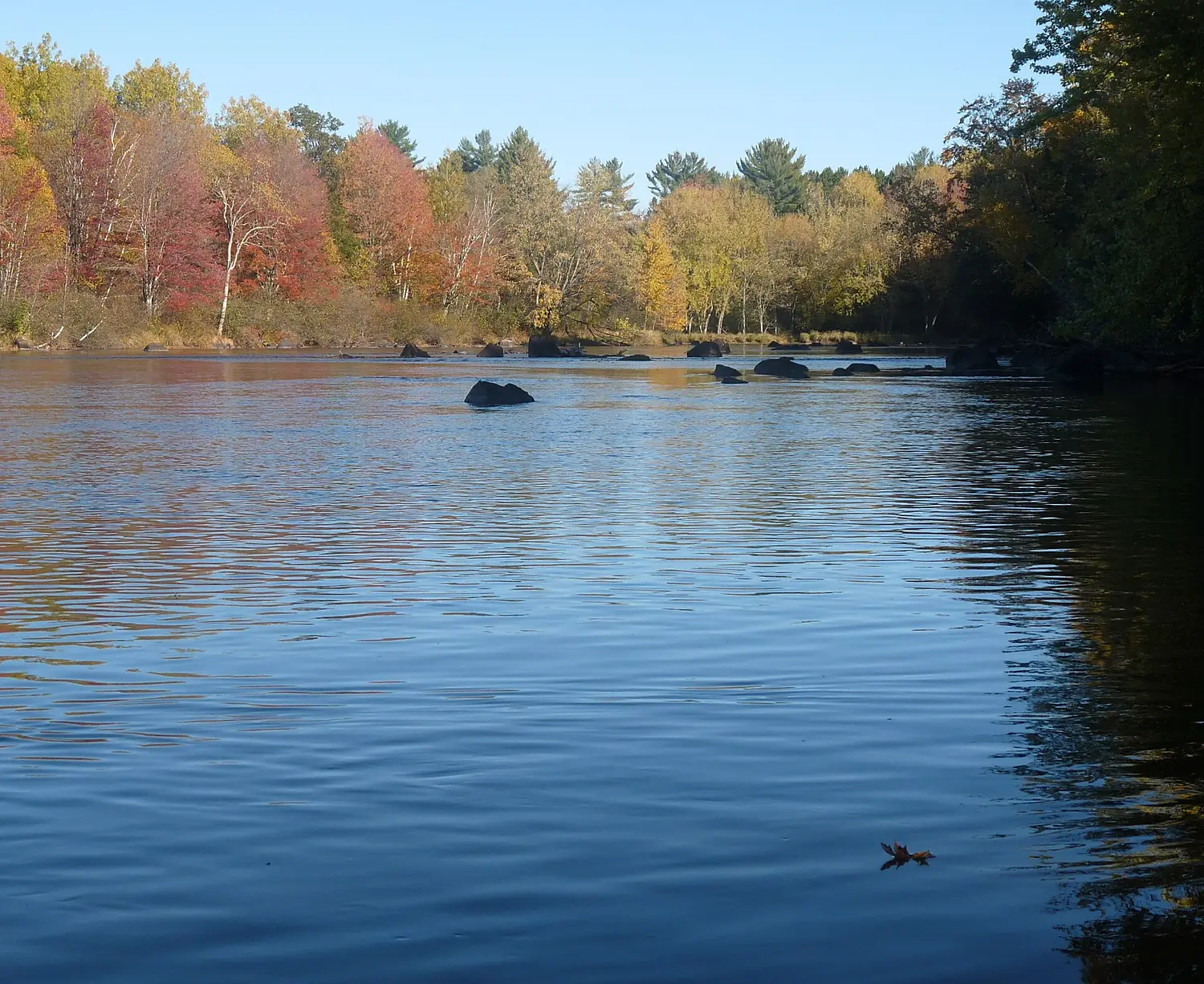 Wisconsin River below Rhinelander