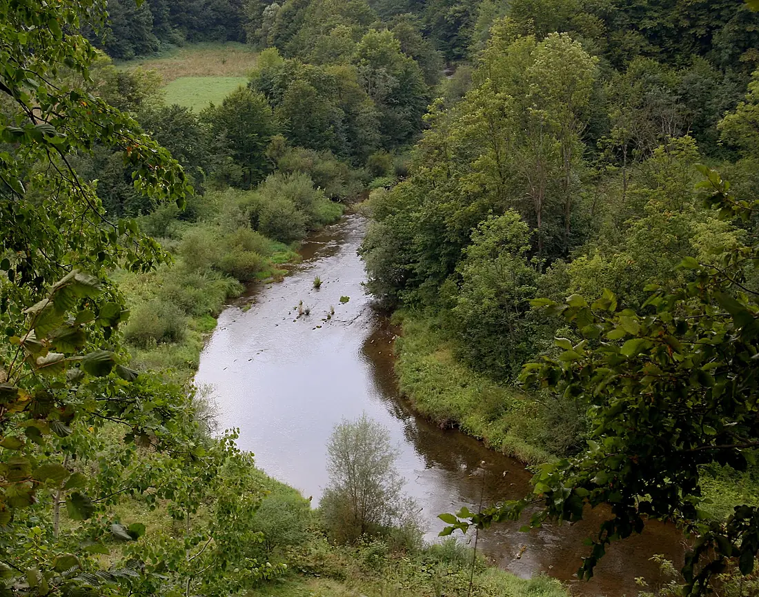 Mymoń przełom Wisłoka 2015.08.22 p