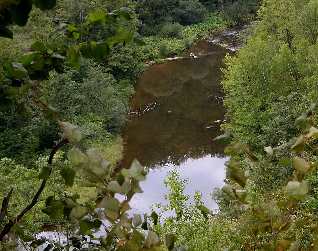 Mymoń przełom Wisłoka 2015.08.22 p2