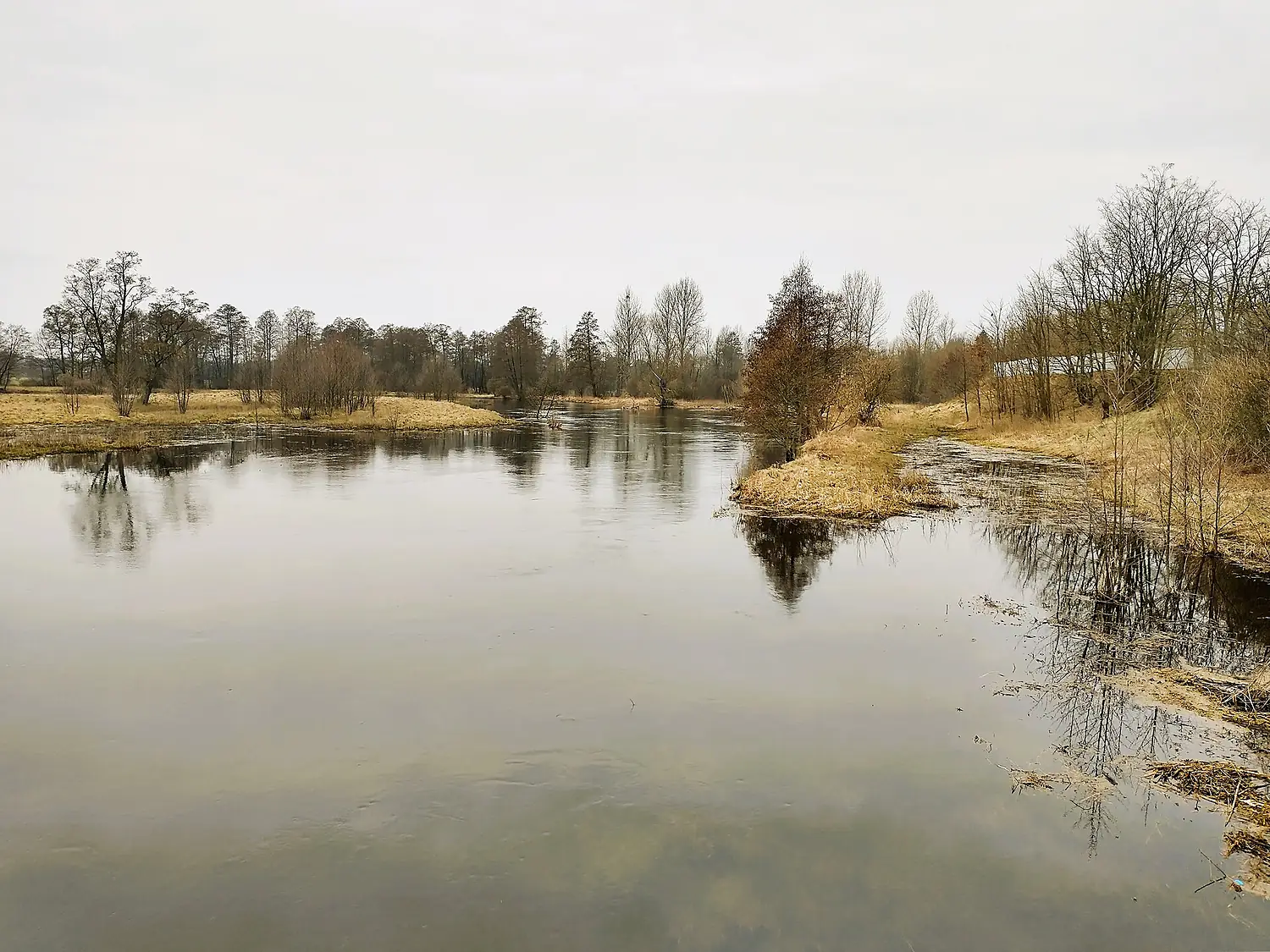 MOs810, WG 2024 7 Mazowsze W-N (Wkra river in Wkra village) (2)
