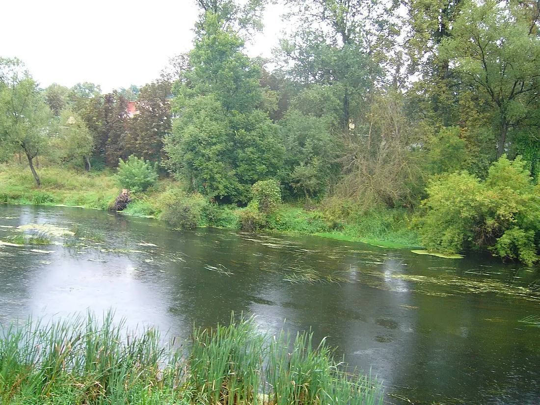 Rzeka Wkra nieopodal Bolęcina - panoramio